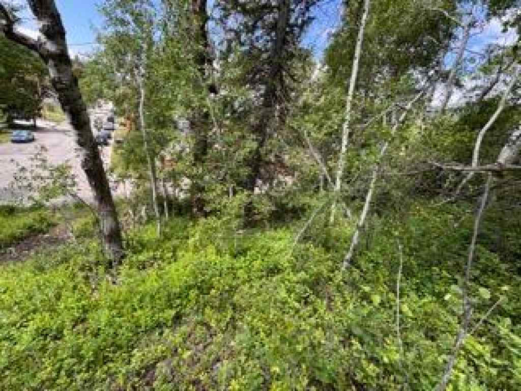 MLS® A2234086 - 1539 134 Street  in NONE Blairmore, Land