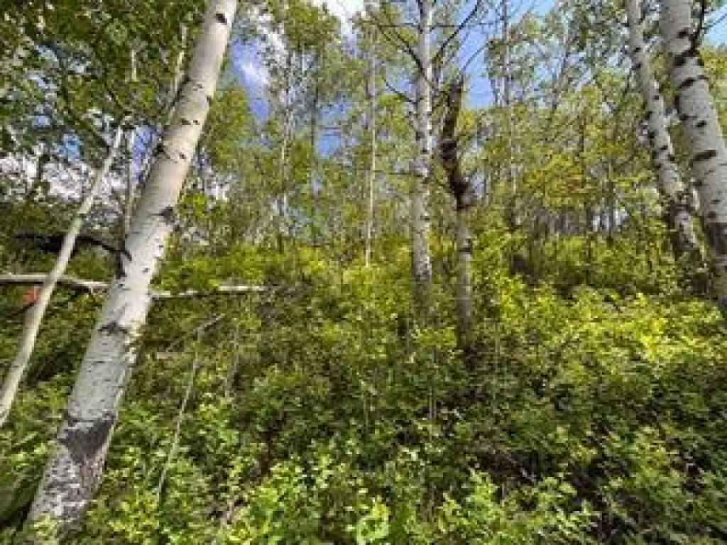MLS® A2234086 - 1539 134 Street  in NONE Blairmore, Land