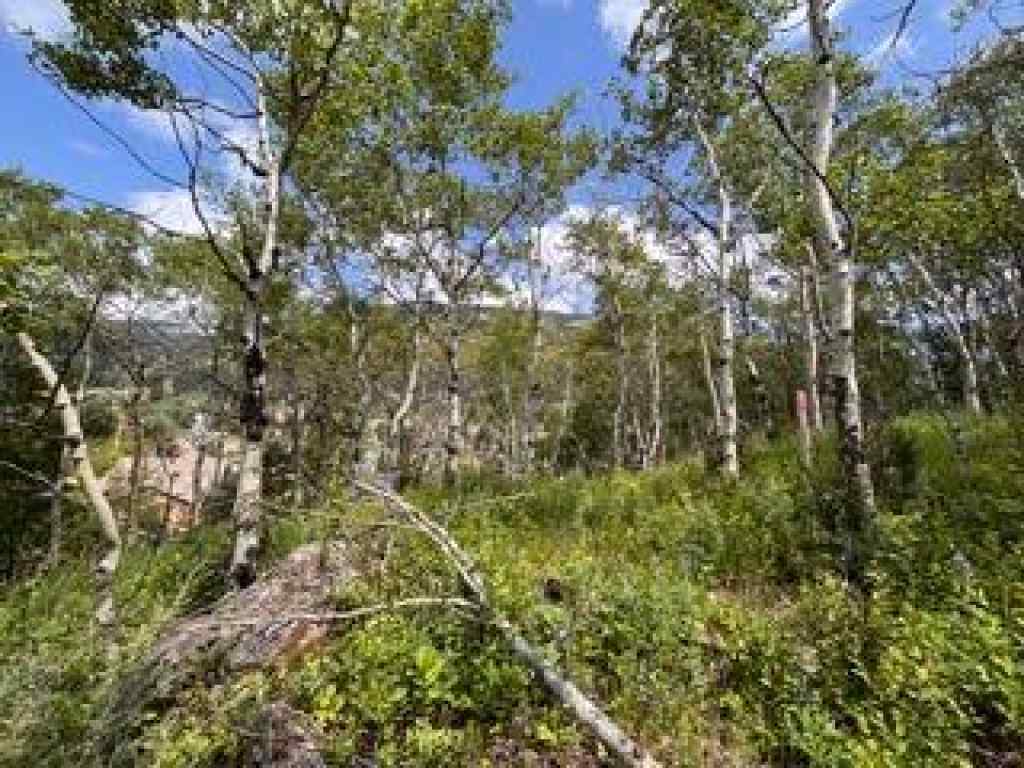 MLS® A2234086 - 1539 134 Street  in NONE Blairmore, Land