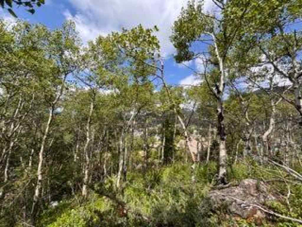 MLS® A2234086 - 1539 134 Street  in NONE Blairmore, Land