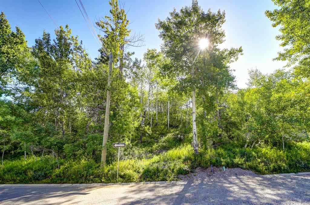 MLS® A2234086 - 1539 134 Street  in NONE Blairmore, Land