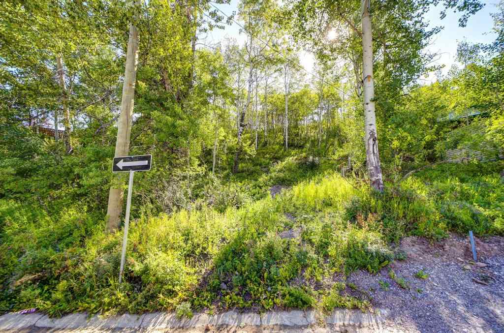 MLS® A2234086 - 1539 134 Street  in NONE Blairmore, Land