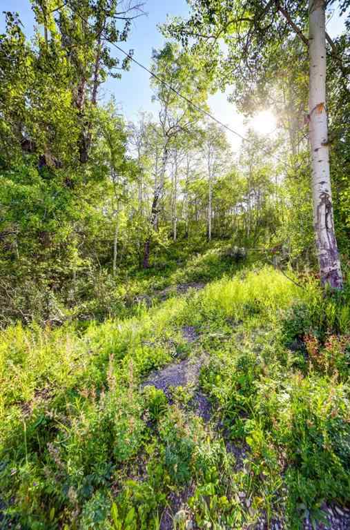 MLS® A2234086 - 1539 134 Street  in NONE Blairmore, Land