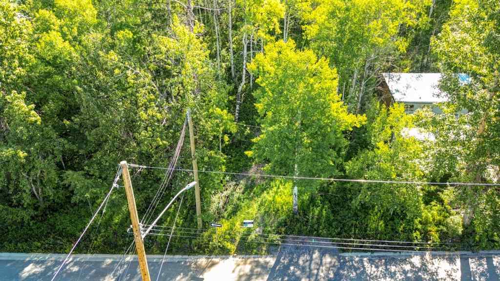 MLS® A2234086 - 1539 134 Street  in NONE Blairmore, Land