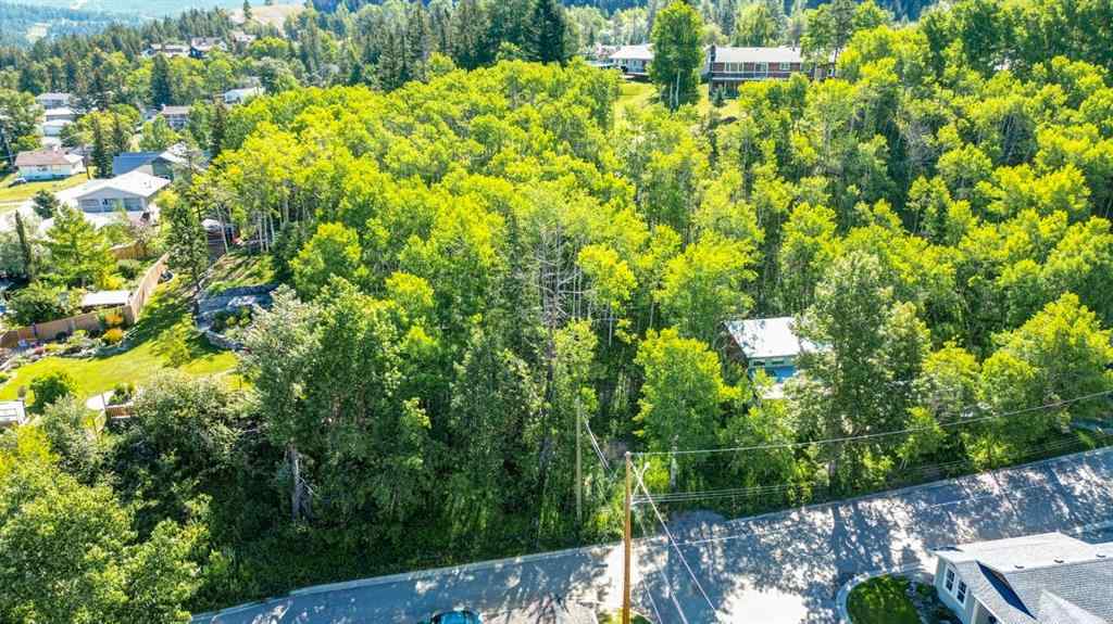 MLS® A2234086 - 1539 134 Street  in NONE Blairmore, Land