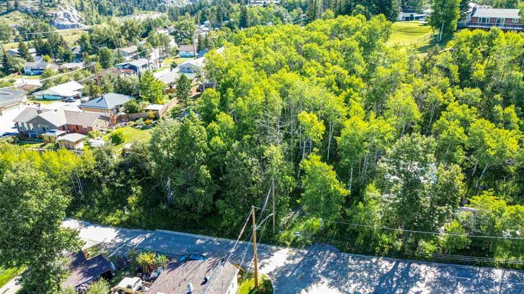 MLS® A2234086 - 1539 134 Street  in NONE Blairmore, Land