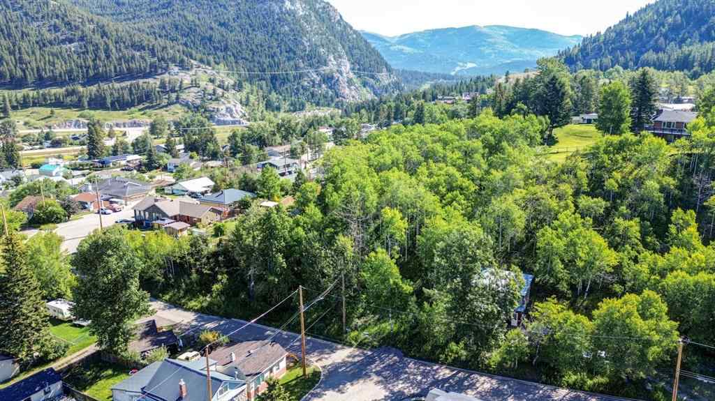 MLS® A2234086 - 1539 134 Street  in NONE Blairmore, Land