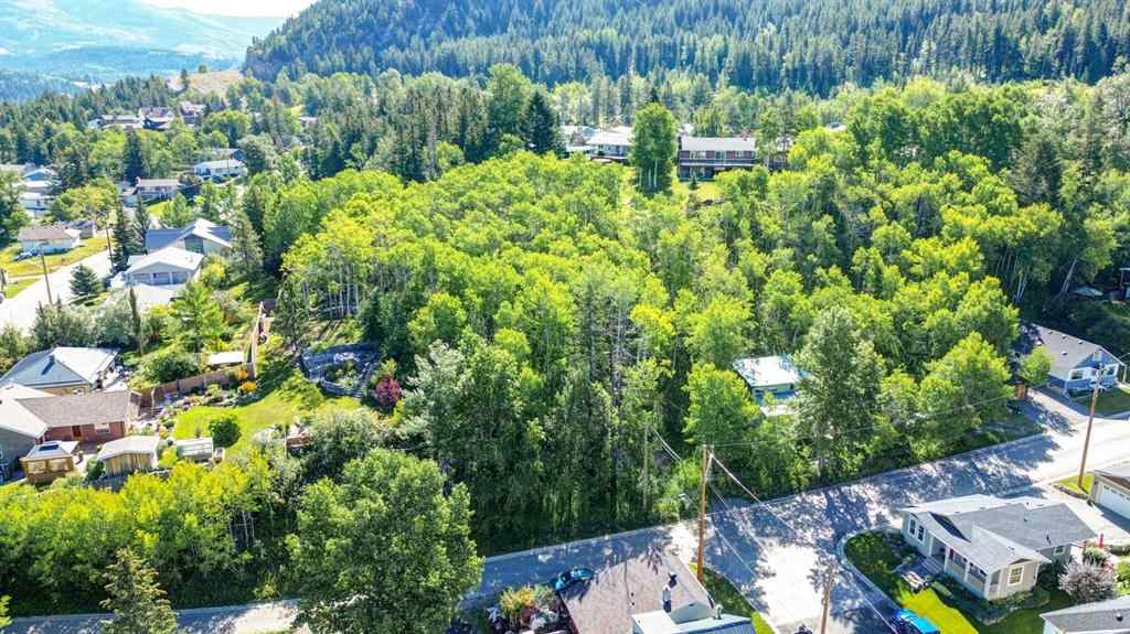 MLS® A2234086 - 1539 134 Street  in NONE Blairmore, Land