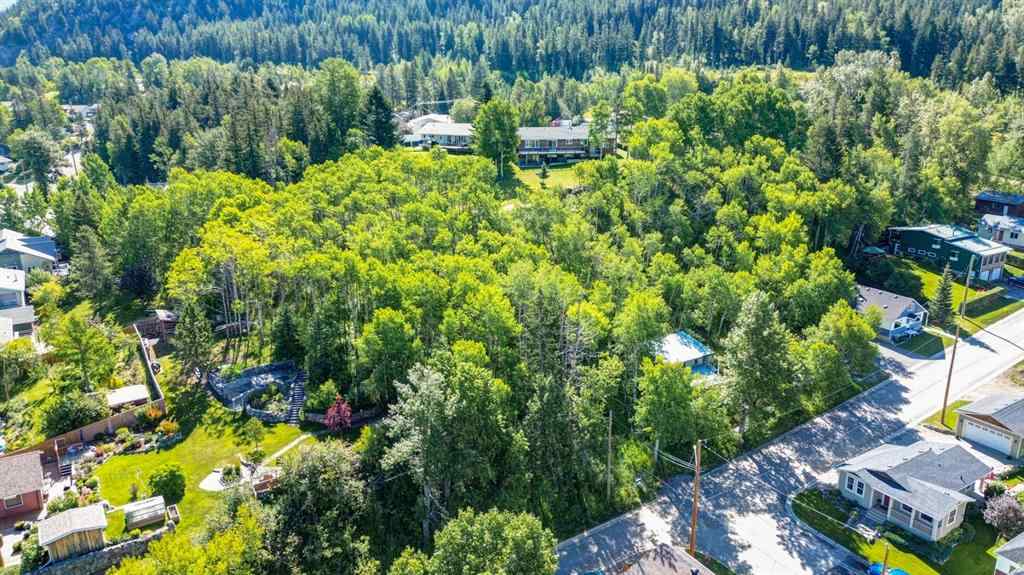MLS® A2234086 - 1539 134 Street  in NONE Blairmore, Land