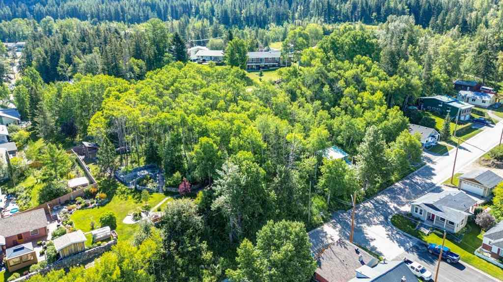 MLS® A2234086 - 1539 134 Street  in NONE Blairmore, Land
