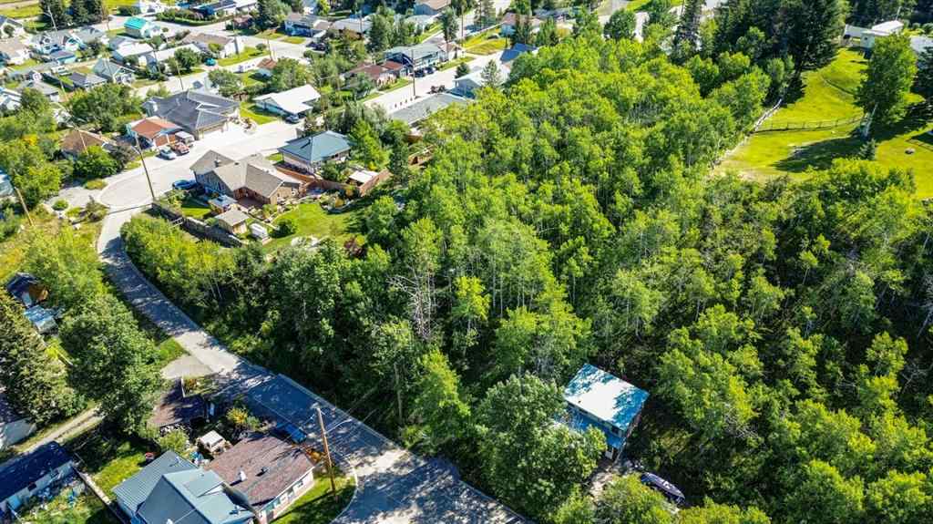 MLS® A2234086 - 1539 134 Street  in NONE Blairmore, Land