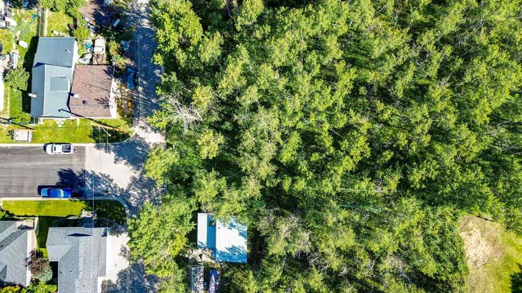 MLS® A2234086 - 1539 134 Street  in NONE Blairmore, Land
