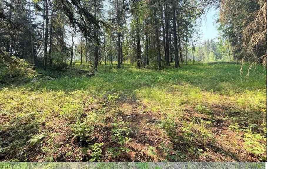 MLS® A2234230 - 221054 670 Township  in NONE Rural Athabasca County, Land
