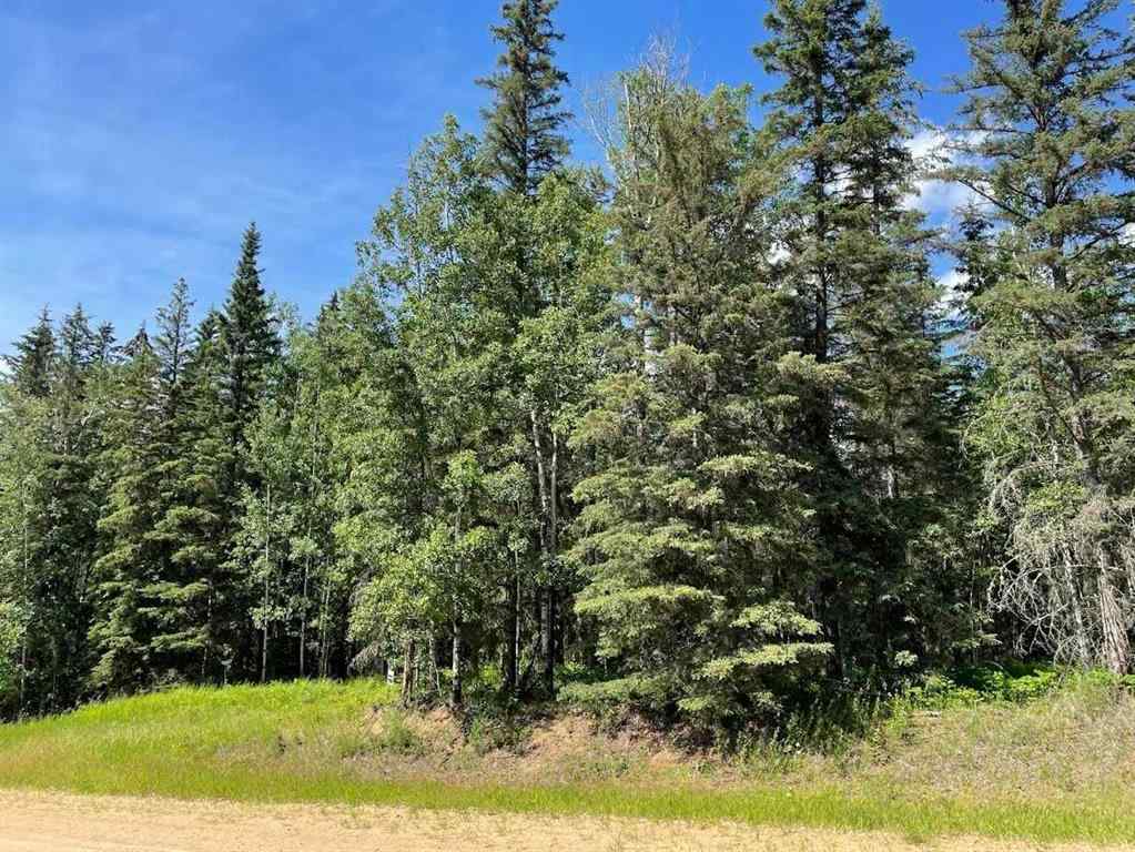 MLS® A2234230 - 221054 670 Township  in NONE Rural Athabasca County, Land