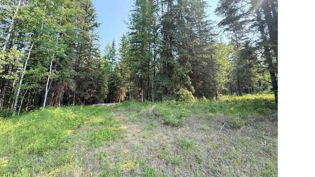 MLS® A2234230 - 221054 670 Township  in NONE Rural Athabasca County, Land