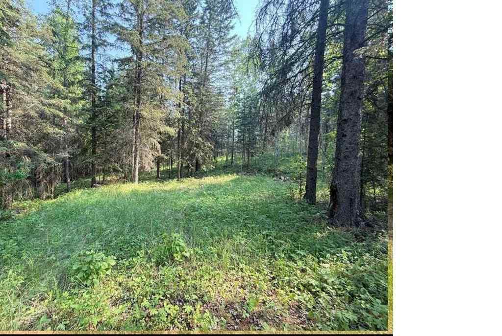 MLS® A2234230 - 221054 670 Township  in NONE Rural Athabasca County, Land