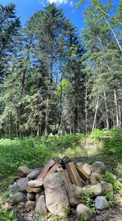 MLS® A2234230 - 221054 670 Township  in NONE Rural Athabasca County, Land
