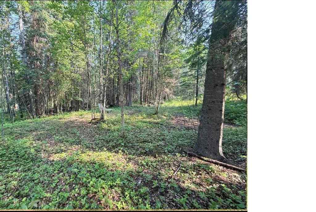 MLS® A2234230 - 221054 670 Township  in NONE Rural Athabasca County, Land