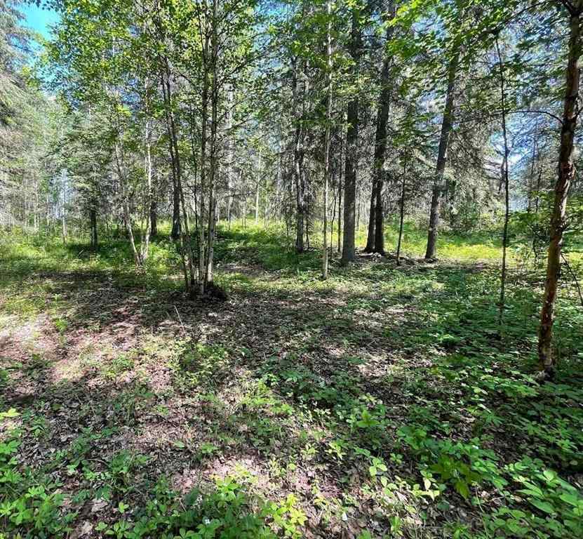 MLS® A2234230 - 221054 670 Township  in NONE Rural Athabasca County, Land