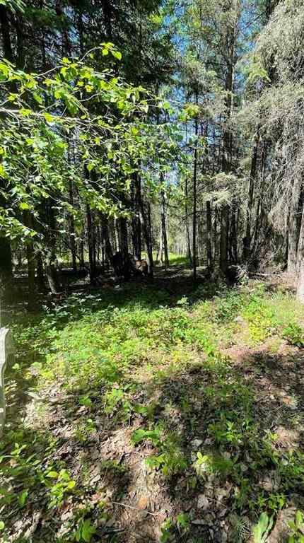 MLS® A2234230 - 221054 670 Township  in NONE Rural Athabasca County, Land