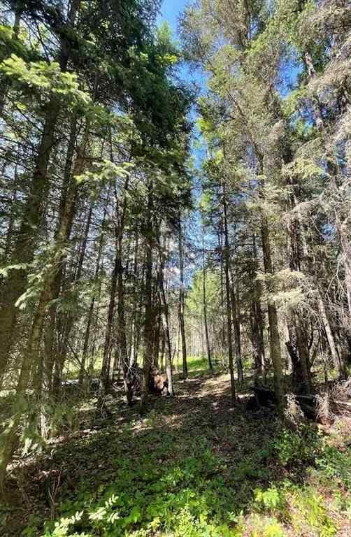 MLS® A2234230 - 221054 670 Township  in NONE Rural Athabasca County, Land