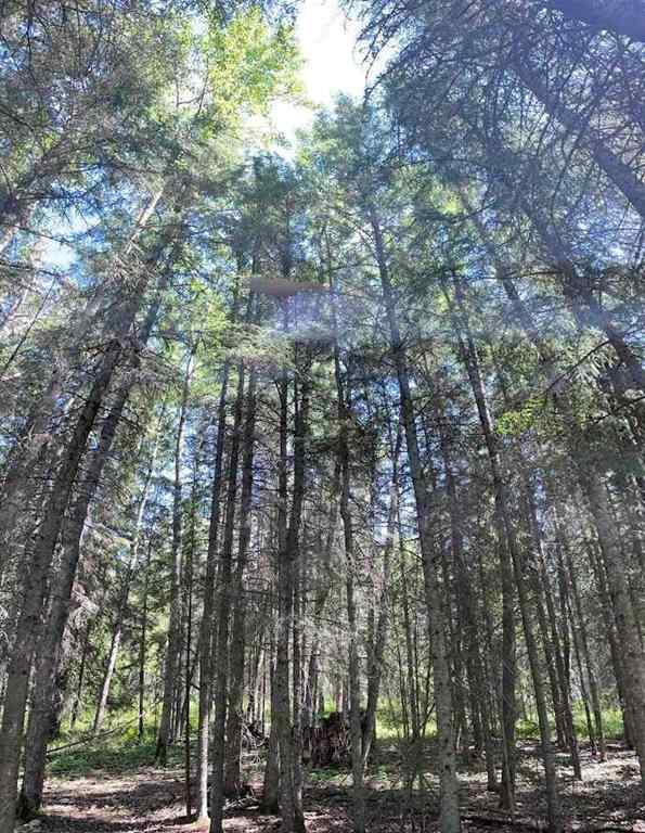 MLS® A2234230 - 221054 670 Township  in NONE Rural Athabasca County, Land