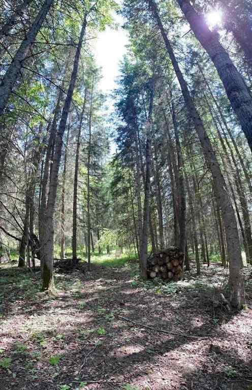 MLS® A2234230 - 221054 670 Township  in NONE Rural Athabasca County, Land