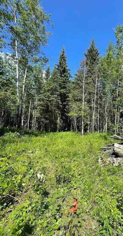 MLS® A2234230 - 221054 670 Township  in NONE Rural Athabasca County, Land