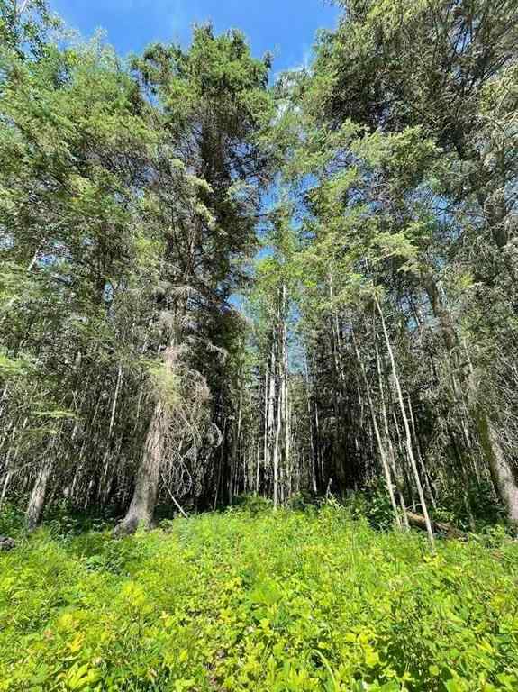 MLS® A2234230 - 221054 670 Township  in NONE Rural Athabasca County, Land