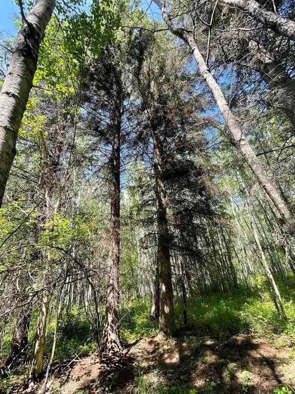 MLS® A2234230 - 221054 670 Township  in NONE Rural Athabasca County, Land