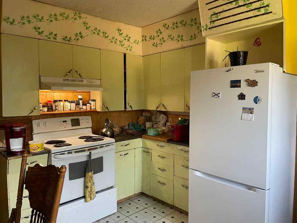 MLS® A2234272 - 1023 2nd   in NONE Bluesky, Residential