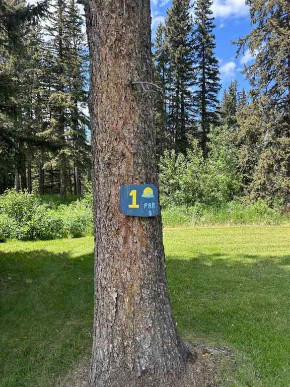 MLS® A2234334 - Unit #117 33051 Range Road 60   in NONE Rural Mountain View County, Land