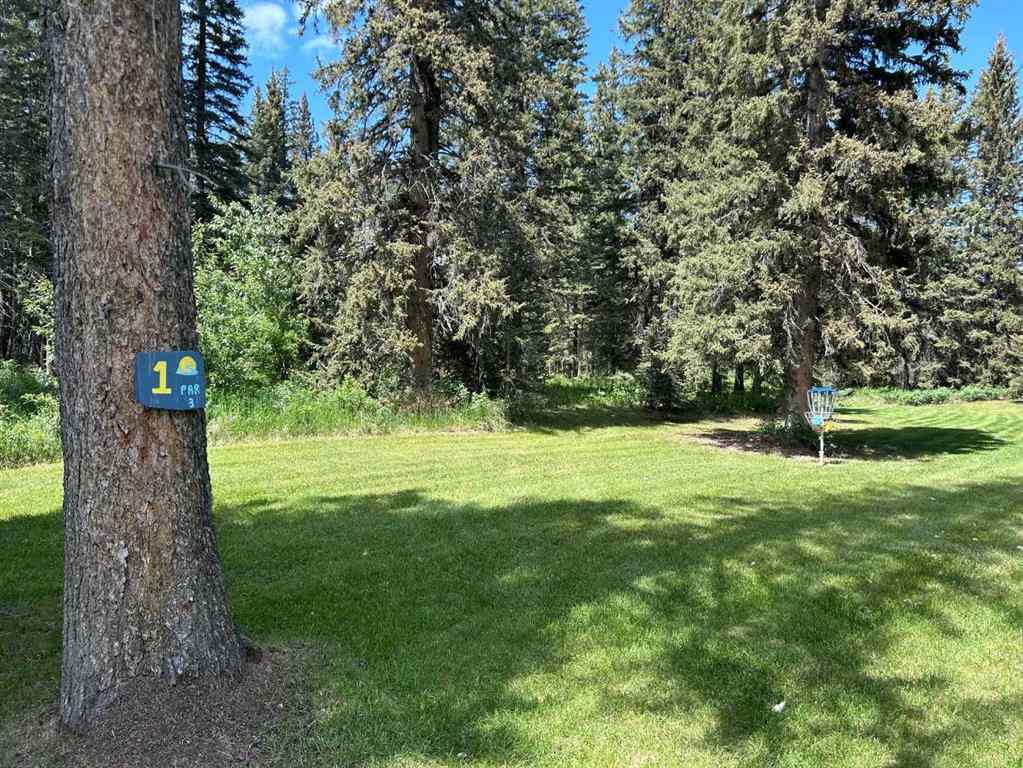 MLS® A2234334 - Unit #117 33051 Range Road 60   in NONE Rural Mountain View County, Land