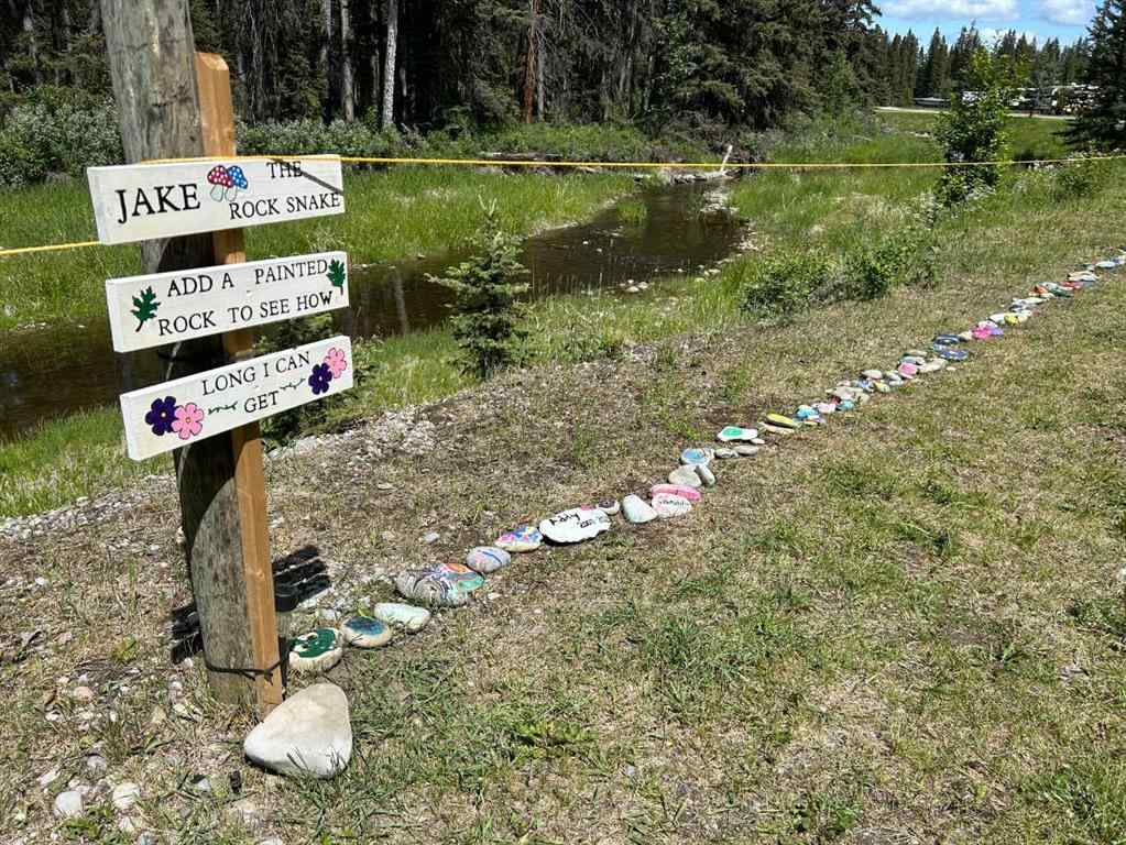 MLS® A2234334 - Unit #117 33051 Range Road 60   in NONE Rural Mountain View County, Land