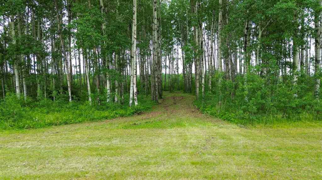 MLS® A2234396 - 14 Prosser Drive  in NONE Branch Lake, Land