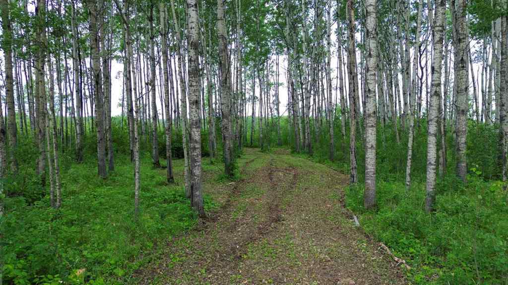 MLS® A2234396 - 14 Prosser Drive  in NONE Branch Lake, Land