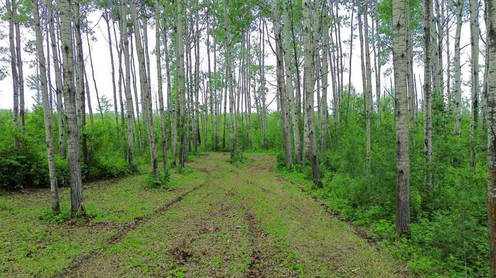 MLS® A2234517 - 18 Prosser Drive  in NONE Branch Lake, Land
