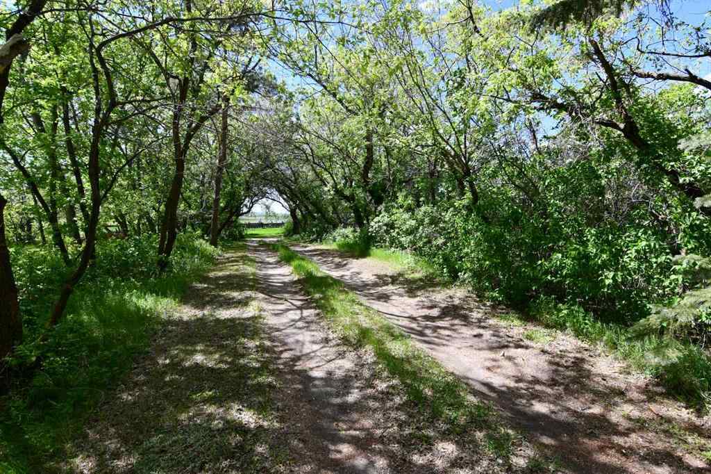 MLS® A2234769 - 415008 Range Road 82   in NONE Rural Provost No. 52, M.D. of, Residential