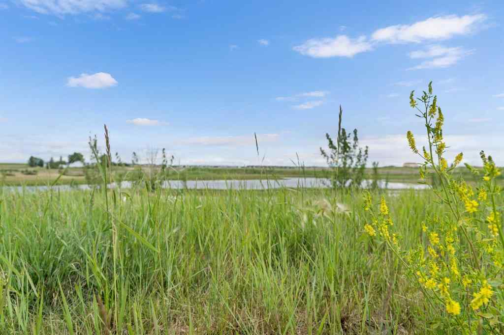 MLS® A2234949 - 437 Hotchkiss Drive SE in Hotchkiss Calgary, Residential