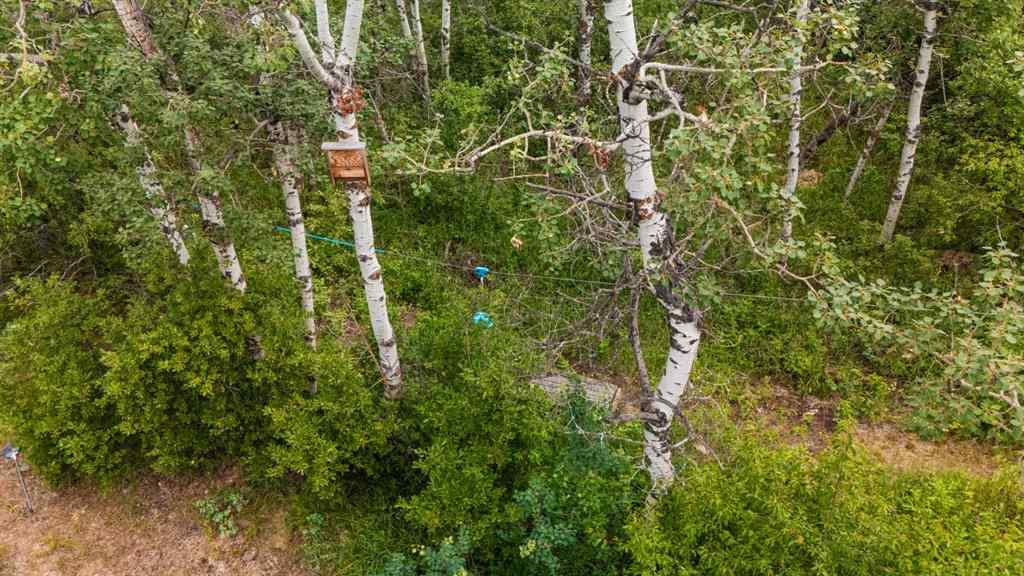 MLS® A2235057 - 39 Buffalo Drive  in Scenic Sands Rural Stettler No. 6, County of, Residential