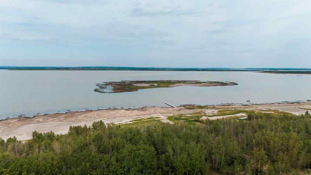 MLS® A2235057 - 39 Buffalo Drive  in Scenic Sands Rural Stettler No. 6, County of, Residential