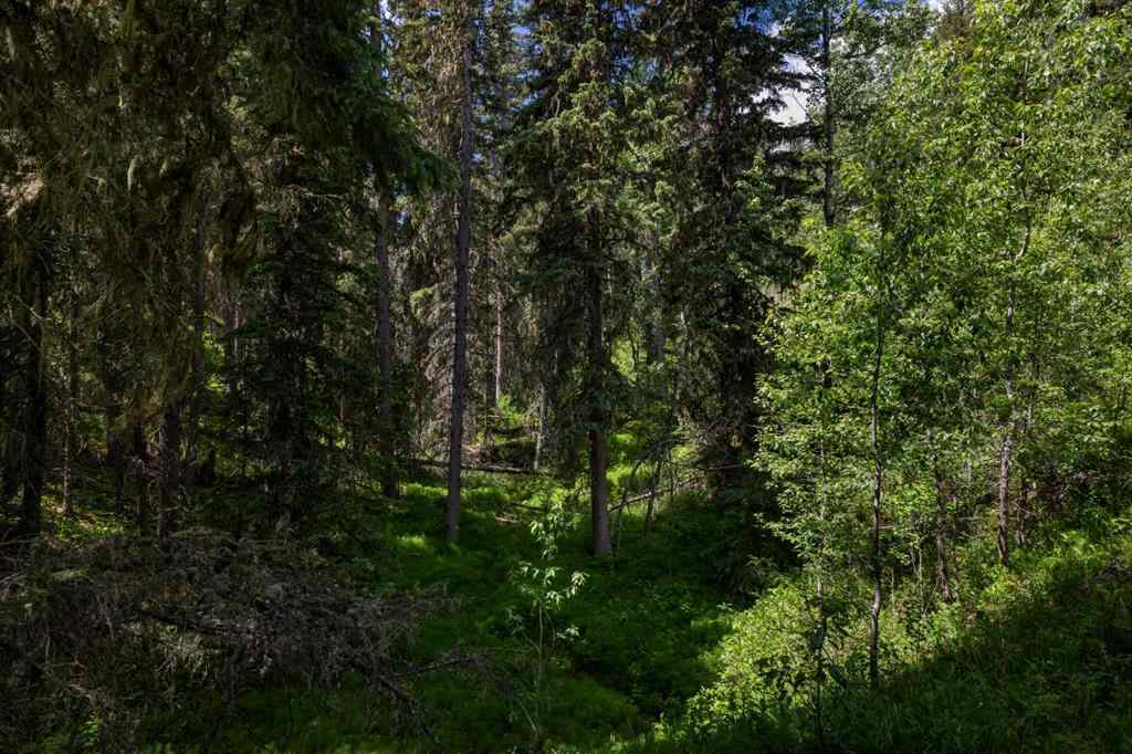 MLS® A2235089 - 282155 Range Road 53   in NONE Rural Rocky View County, Land