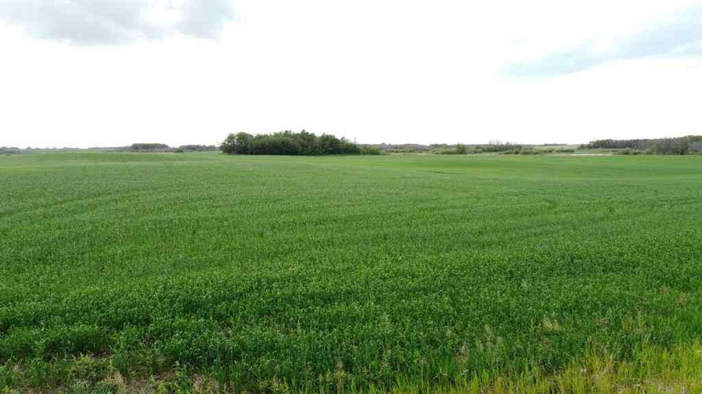 MLS® A2235205 -  163 Range  in NONE Rural Beaver County, Land