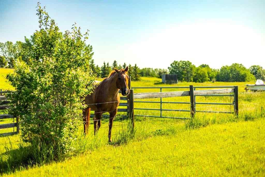 MLS® A2235472 - 322136 8 Street E in NONE Rural Foothills County, Residential