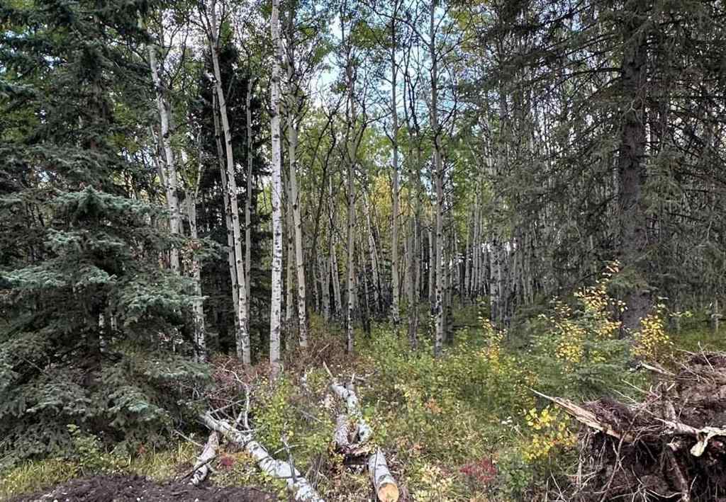 MLS® A2236073 - 52 Elkstone Way  in NONE Rural Rocky View County, Land