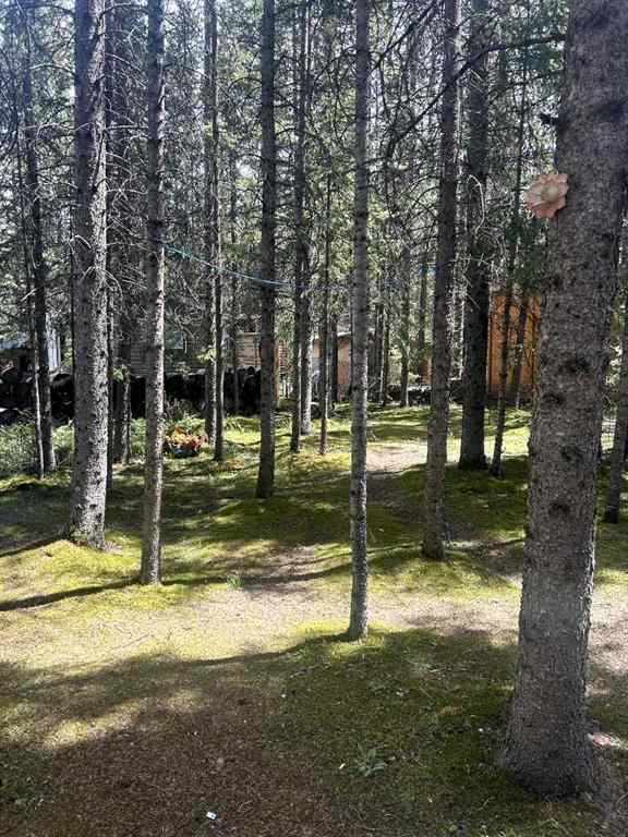 MLS® A2236098 - Unit #111 & 112 200 4 Avenue SW in NONE Sundre, Land