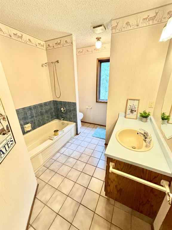 MLS® A2236137 - 125 Elk Valley Crescent  in Elk Valley Bragg Creek, Residential