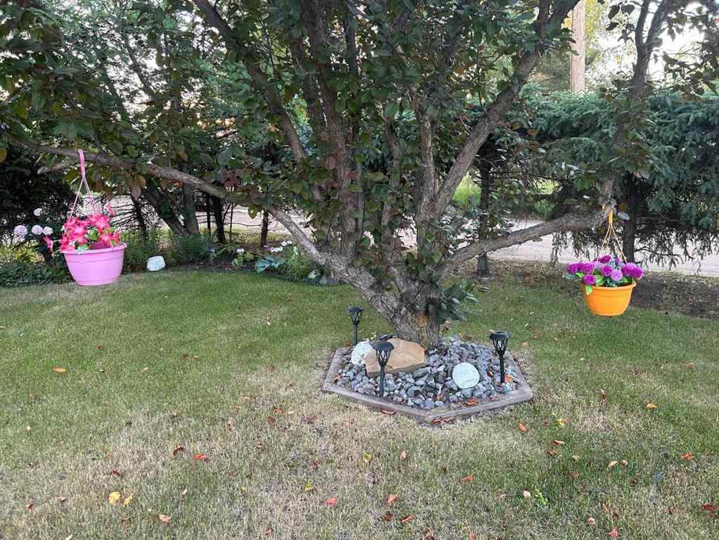 MLS® A2236247 - 4602 49 Avenue  in NONE Vermilion, Residential