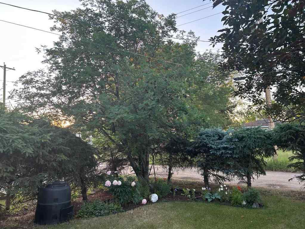 MLS® A2236247 - 4602 49 Avenue  in NONE Vermilion, Residential