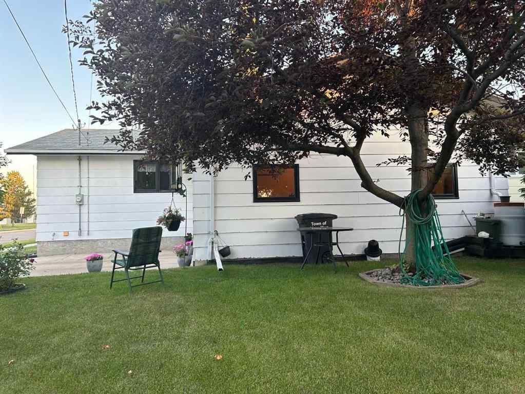 MLS® A2236247 - 4602 49 Avenue  in NONE Vermilion, Residential